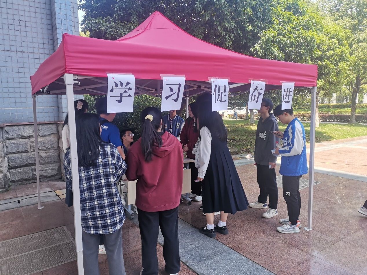 mk体育
