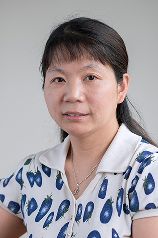mk体育
